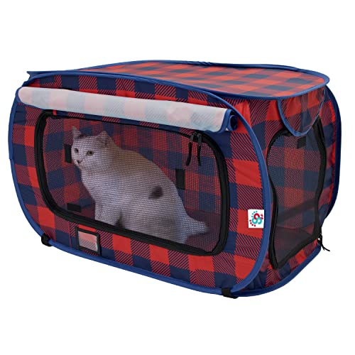Annual Holiday Carrier (Red)
