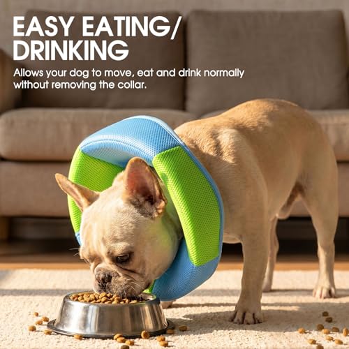 Dog Cone Soft Cone for Dogs to Stop Licking (Light Blue / Large)