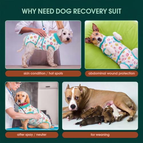 Dog Recovery Suit (Mint Green / Large)