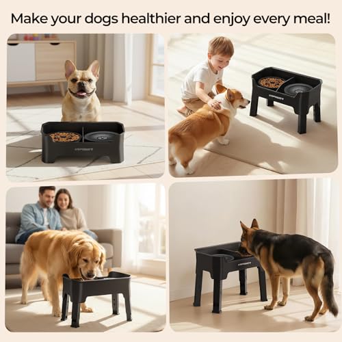 Mess Proof Elevated Dog Bowls 4 Height Adjustable Raised Stand (Black / Large)