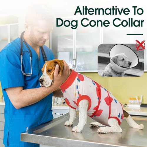 Dog Recovery Suit (Strawberry Red / X-Large)