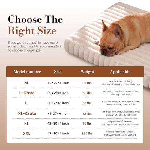 Medium Dog Bed Orthopedic Foam with Waterproof Lining (M(30"*20"*3") / Cream)