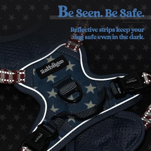 Dog Harness No Pull for Small Dogs with 2 Leash Clips (X-Small / Blue Star)