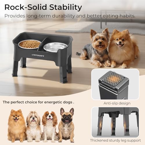 Mess Proof Elevated Dog Bowls (Grey / Small)