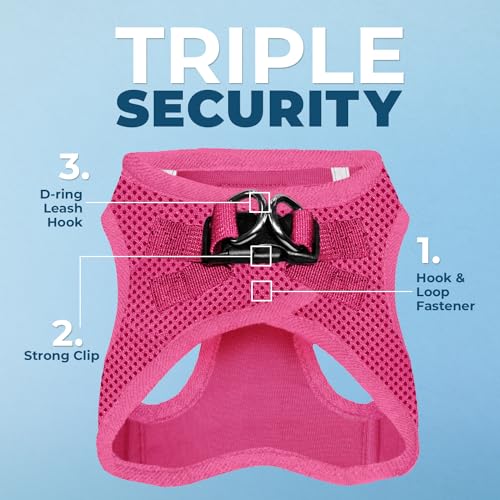 Voyager Step in Air All Weather Mesh Harness and Reflective Dog 5ft Leash Combo with Neoprene Handle (Fuchsia / M (Chest: 16 - 18"))