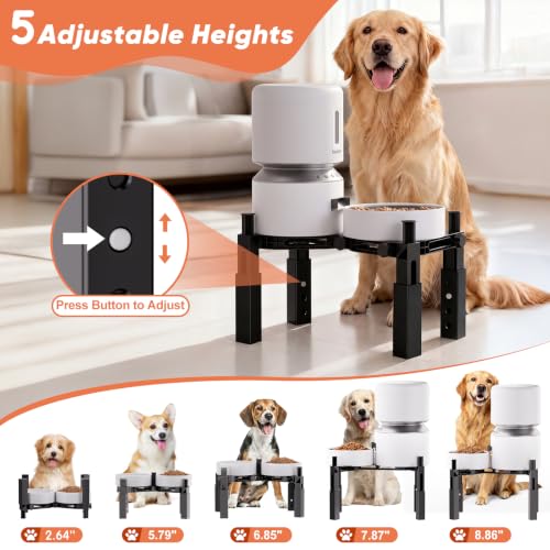 Dog Bowl Stand Elevated Food Water Bowl Holder for Large Medium Small Sized Dog (Bowl Stand-B)