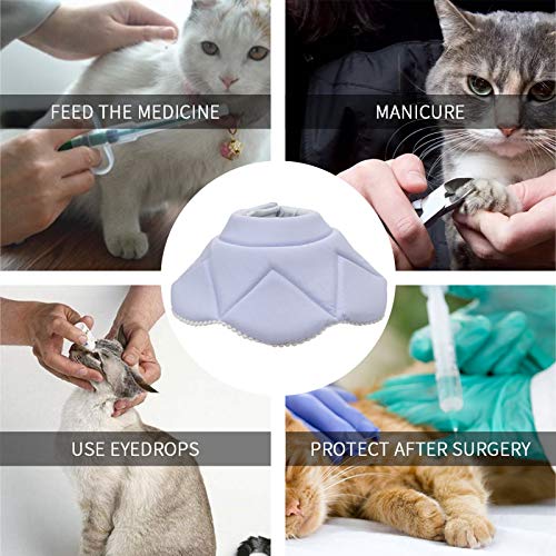 Soft Cat Recovery Collar (Medium / Blue)