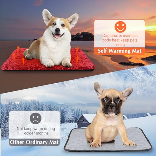 4 Pack Self Warming Cat Mat for Pets (16 x 20 Inch / Red)