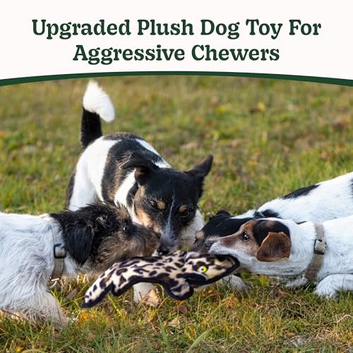 No Stuffing Dog Toys Crinkle Squeaky (5 Pack / Small)