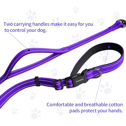 Hands Free Dog Leash by Kazazoo (Purple / L)