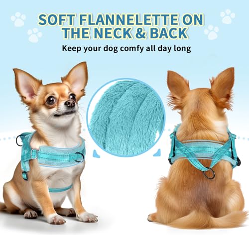 No Pull Small Dog Harness and Leash Set with Front Clip (Small / Teal)