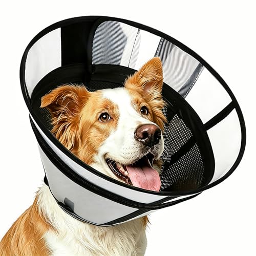 Soft Transparent Dog Cone Collar (S (Neck: 10.24-12.01") / Black)