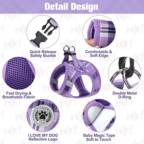 Small Dog Harness and Leash Set (XSmall(Chest Girth 13" - 14.5") / Purple)