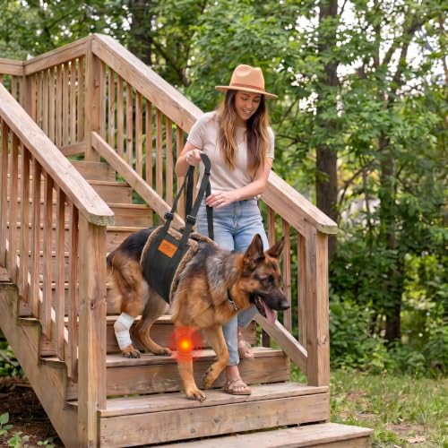 Adjustable Dog Lifting Harness (Brown / Medium)