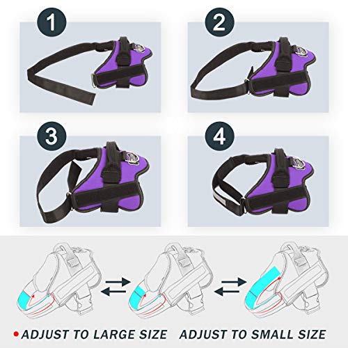 Dog Harness No (X-Small (Pack of 1) / Purple)