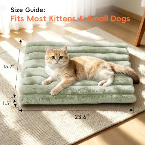 Cat Bed Mat for Indoor Cats (Green / Medium 23.6×15.7 inch)