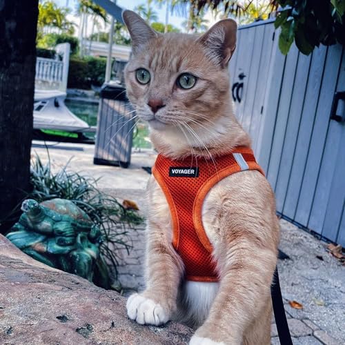 Voyager Step in Air All Weather Mesh Harness and Reflective Dog 5ft Leash Combo with Neoprene Handle (Harness Leash Set (Orange) / L (Chest: 18 - 20.5"))