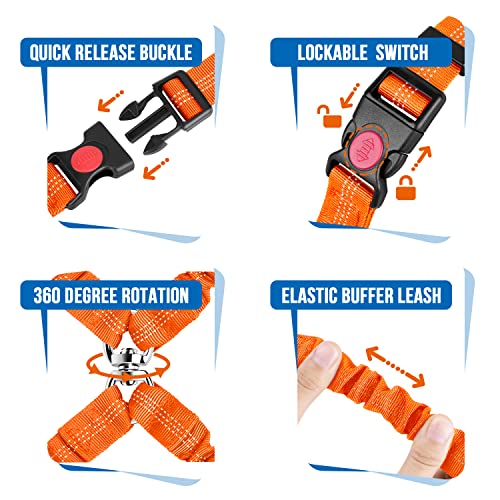 Double Dog Car Seat Belt (Orange)