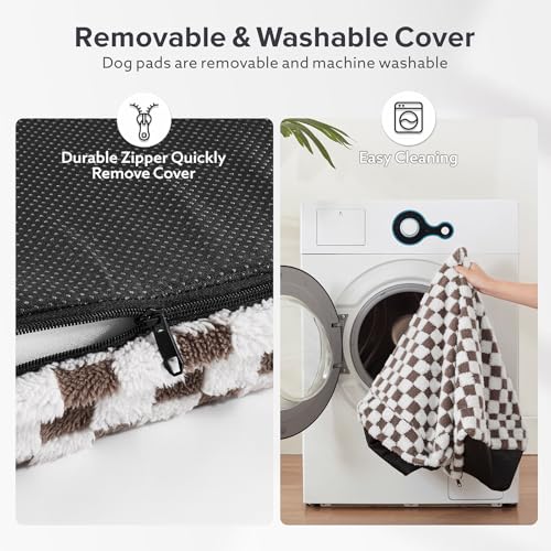 Dog Bed for Large Dogs (L (36x27) / Coffee)