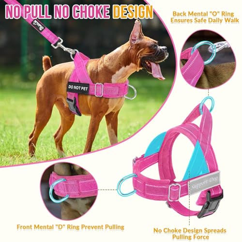 No Pull Dog Harness and Leash Set (Fuchsia / Small)