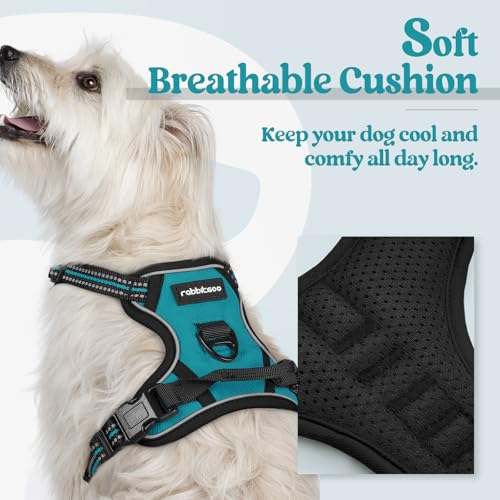 Dog Harness No Pull with 2 Leash Clips (X-Small / Teal)