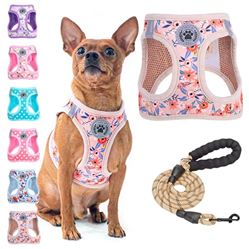Small Dog Harness and Leash Set (Small(Chest Girth 14.5" - 16") / Pink Rose)