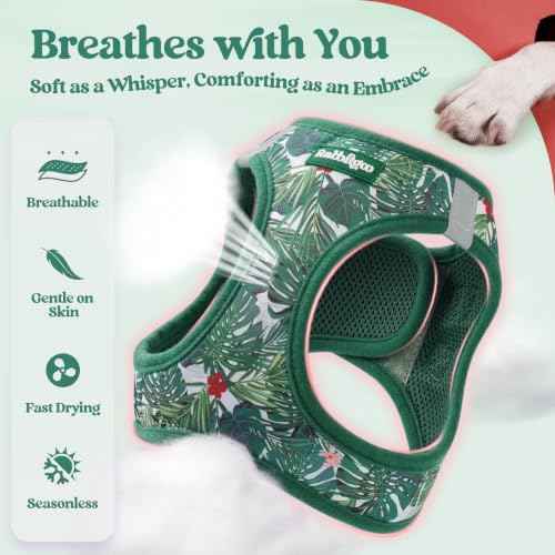 Dog Harness Medium Sized and Leash Set (Rainforest Green / M (chest: 16 - 18.5"))