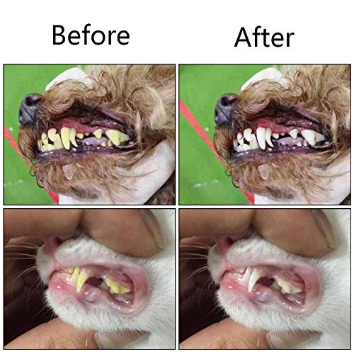 2 Pcs 3 Sided Pet Toothbrush Dog Cat Mouth Dental Teeth Care (Blue&orange)