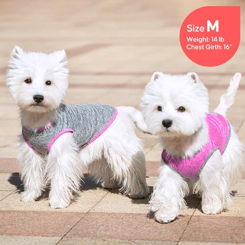 2Pack Dog Shirt for Small Dogs Sun Protection Tank Top for Summer (Small (4-7lbs) / 6# 2Pack (Grey+Hotpink))