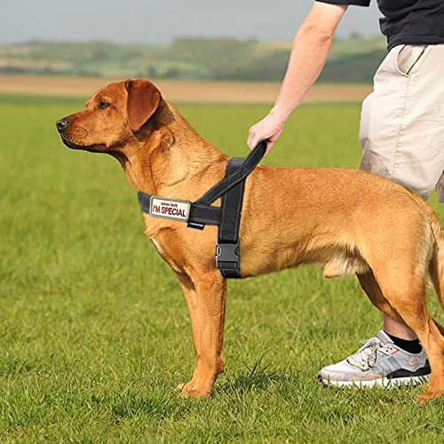No Pull Dog Harness with Soft Padded Handle (XS / Black)