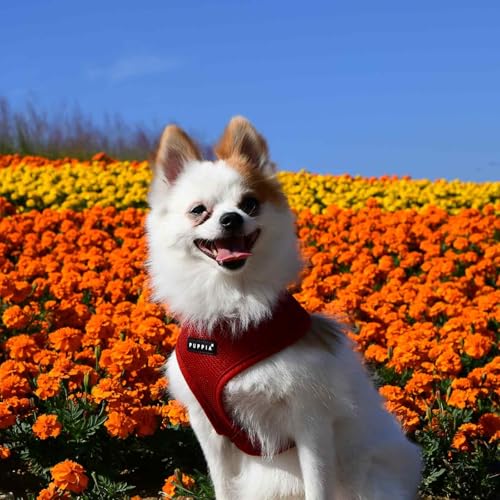 Soft Dog Harness (Wine / Large)