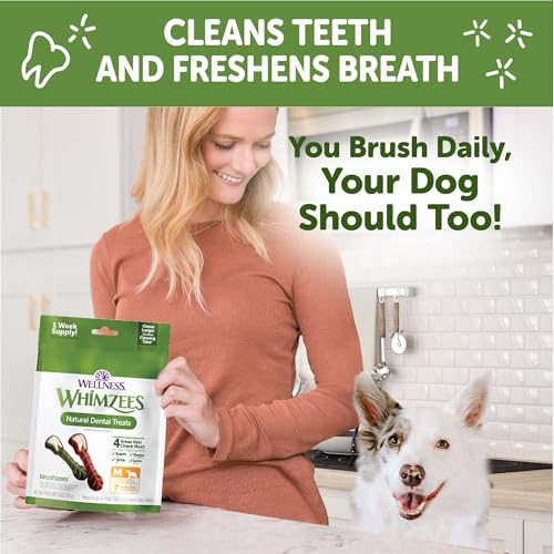Wellness WHIMZEES Daily Brushzees Dog Dental Treats (7 Count (Pack of 1))