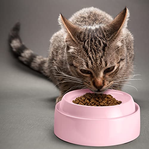 Cat Bowls Whisker Friendly Food Bowl for Indoor Cats (Dish - Set of Two / Pink)