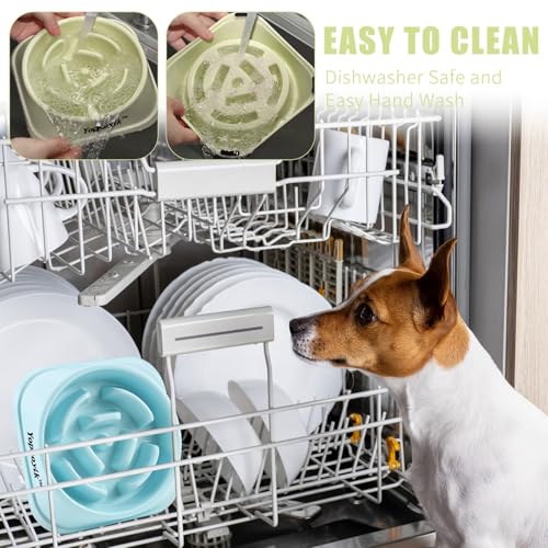 2 Pack Slow Feeder Dog Bowls for Medium Dogs & Cats (Medium / Green and Light Blue)