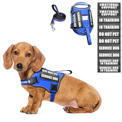 Service Dog Harness and Leash Set (X-Small / Blue)