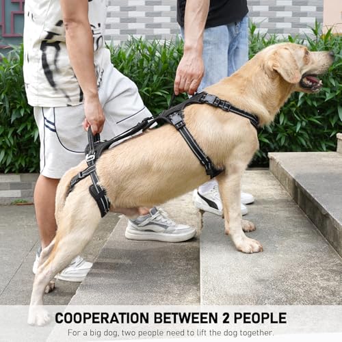 Mobility Dog Lift Harness (Black / XL)