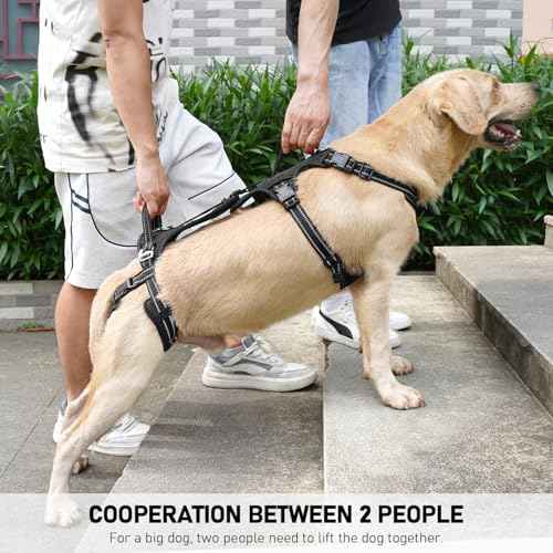 Mobility Dog Lift Harness (Black / XXL)