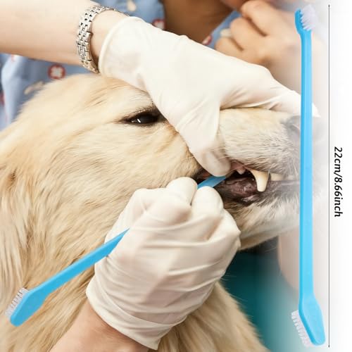 200 Pcs Dog Toothbrush Dual Headed Dental Brushes Bulk Dog Tooth Brushing Kit Long Handle Soft Bristles Pet Tooth Brush for Large and Small Dogs