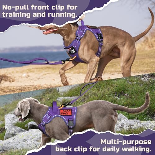 Tactical Dog Harness for Medium (Purple / Medium)