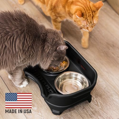 Express Mess Proof Cat Bowls Elevated (Cat w/ Standard Bowls / Midnight Black)