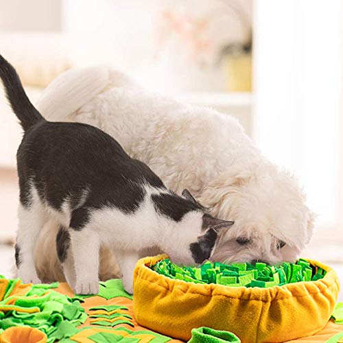 Large Dog Snuffle Mat (C)