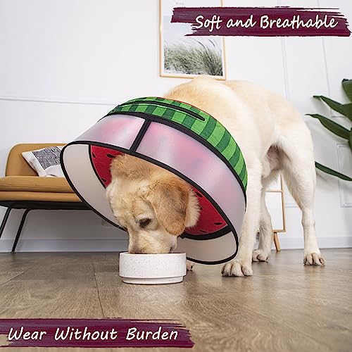 Inflatable Dog Cone Collar with Enhanced Anti (Small / Watermelon)