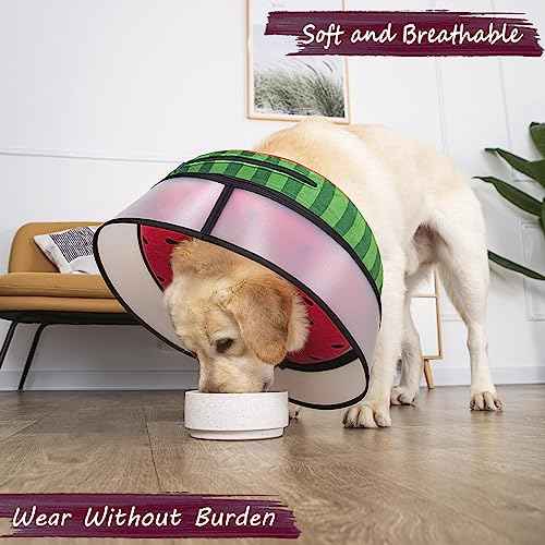 Inflatable Dog Cone Collar with Enhanced Anti (Medium / Watermelon)