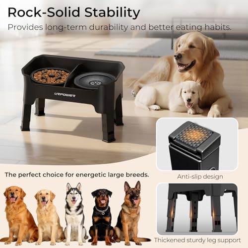 Mess Proof Elevated Dog Bowls 4 Height Adjustable Raised Stand (Black / Large)