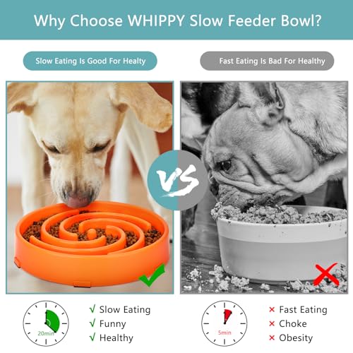 Slow Feeder Large Dog Bowl (Large / J-orange)