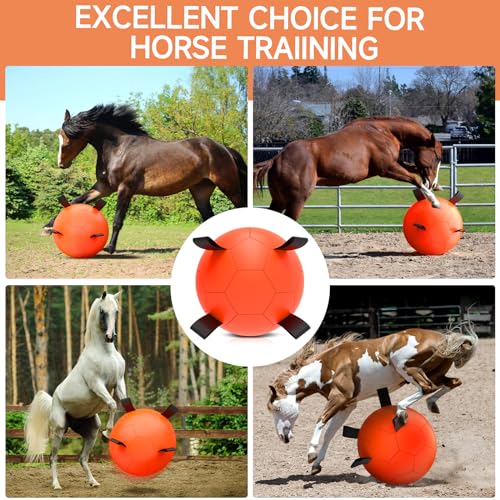 Herding Ball for Dogs (Herding Ball / 25 Inch)