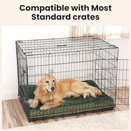 Orthopedic Waterproof Large Dog Bed (41" x 28" x 4" (For Crate) / 05-Green)