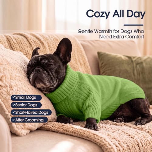 Great Dane Sweater (Grass Green / XXXX-Large)
