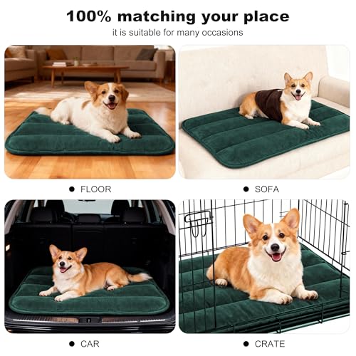 Dog Crate Pad (M(28"*16"*1.5") / New-Green-1pc)