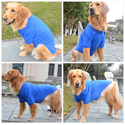 Basic Dog Polo Shirts Premium Cotton (XS (-6lbs) / Blue)